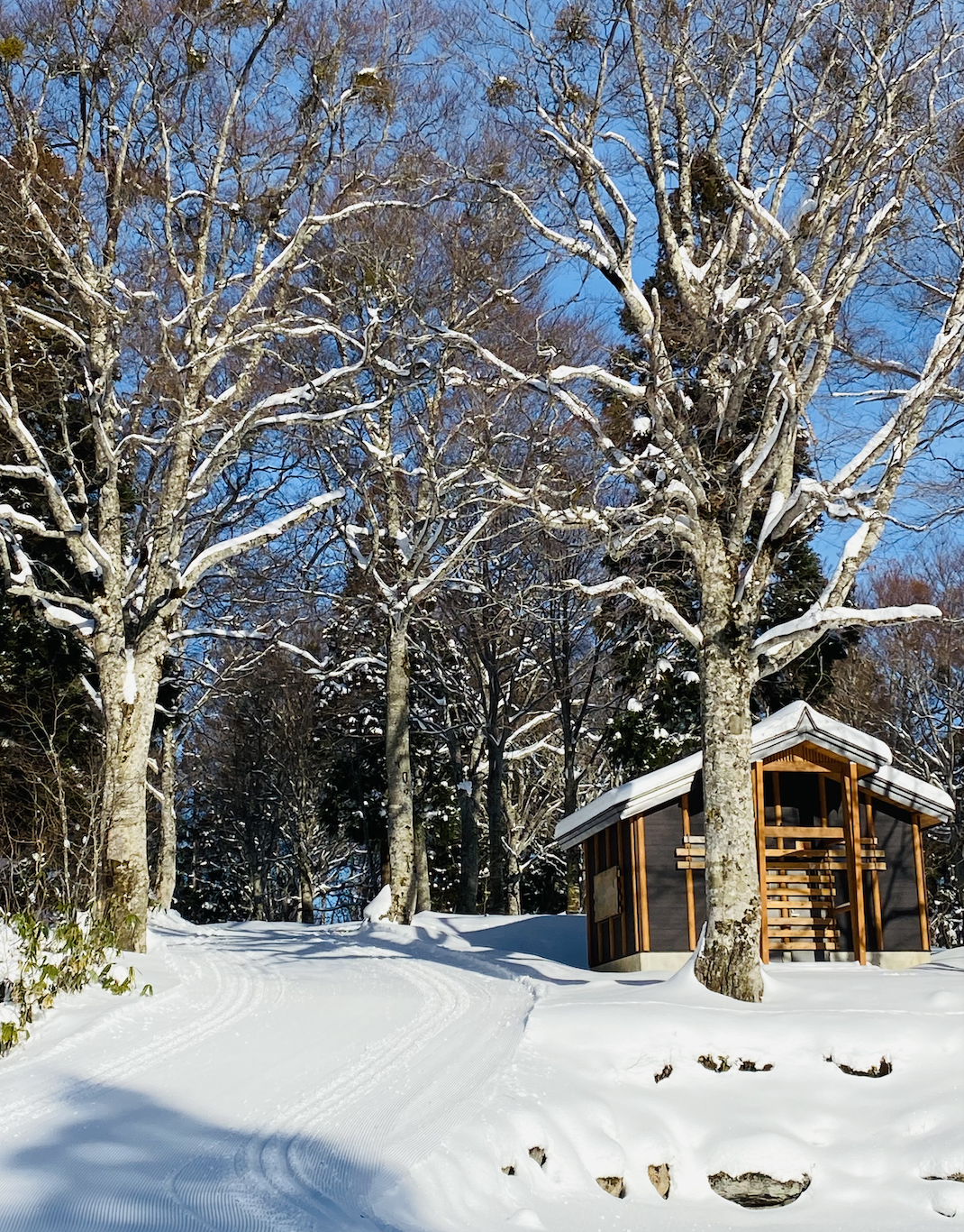 SLOW LIFE NOZAWA ONSEN