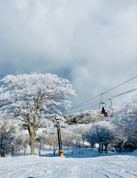 Late March Snow Nozawa