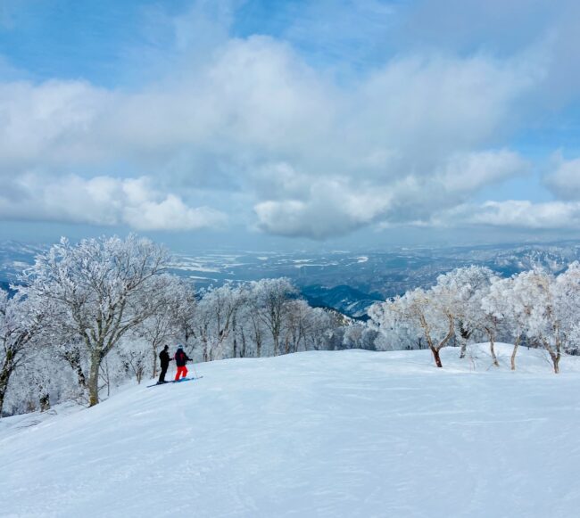 Rentals Lessons Lifts Nozawa 
