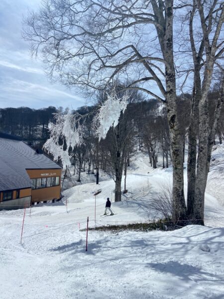 Search Properties Nozawa Onsen