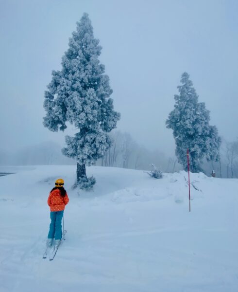 Late Season Skiing Japan 