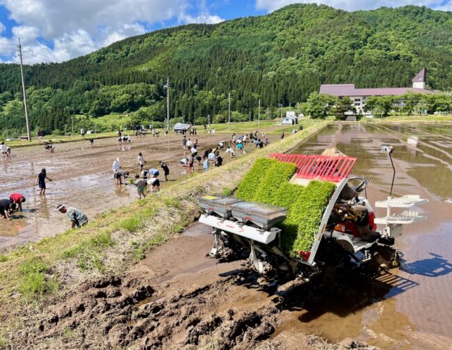 Nozawa Onsen Farming 