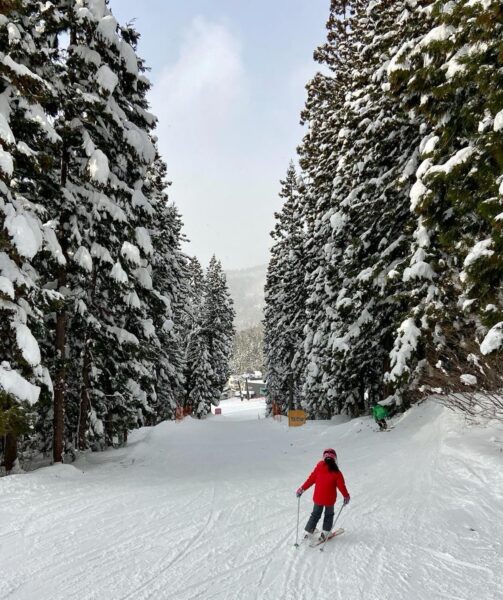 Top Posts Nozawa Onsen 