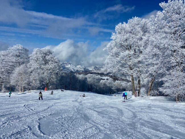 Last Day Season Nozawa