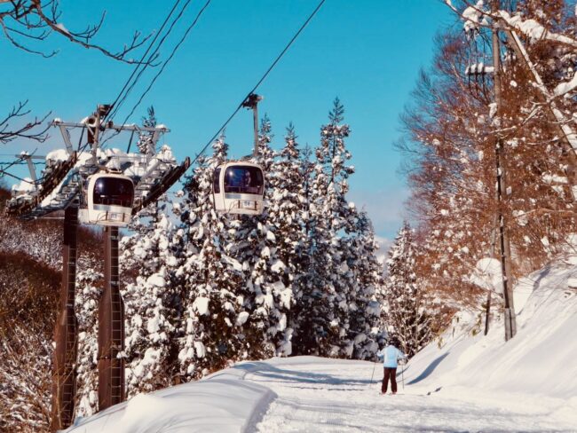 How many Lifts Nozawa