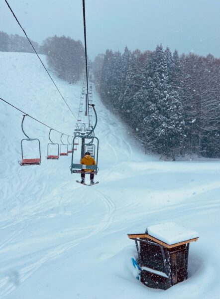 Lift Prices Nozawa 2024