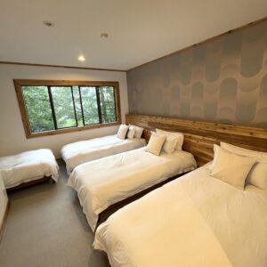 Tangram Ski Lodge Brueys