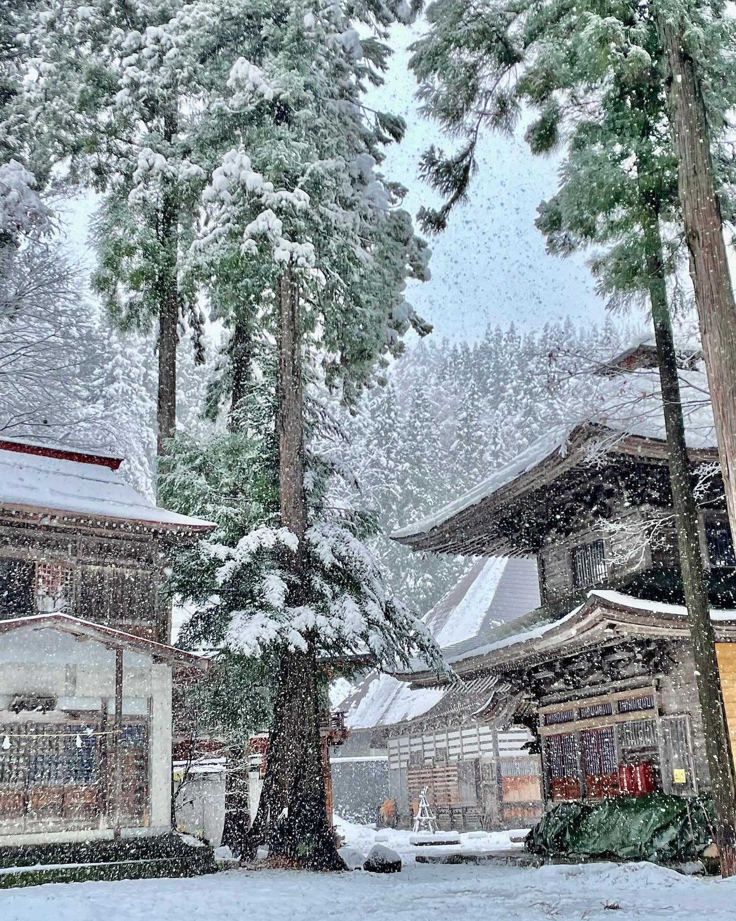 November Snow Nozawa Japan