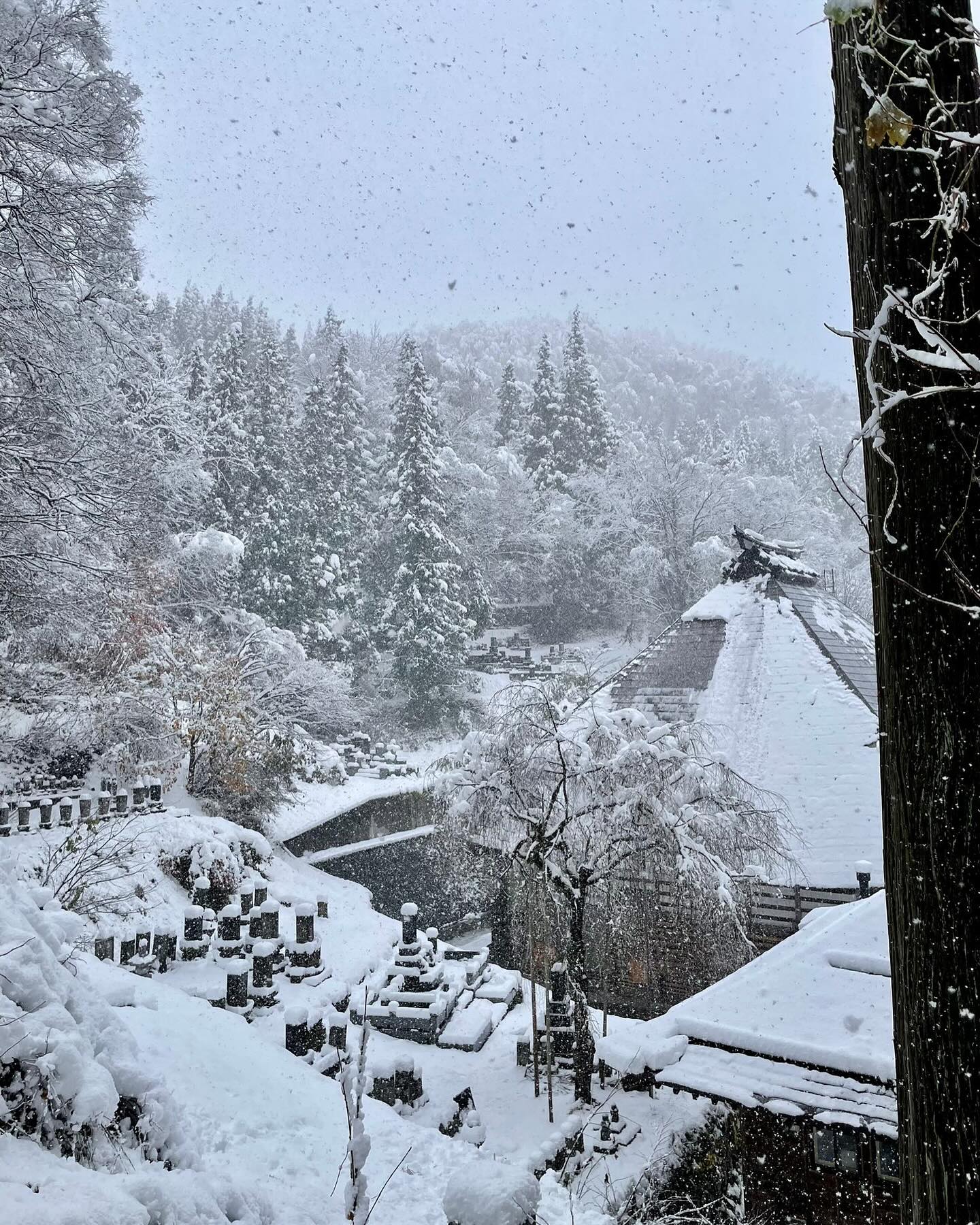 November Snow Nozawa Japan