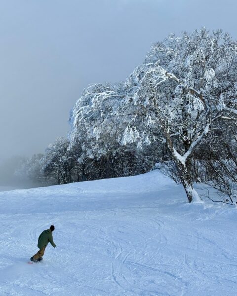 Above the clouds in Nozawa