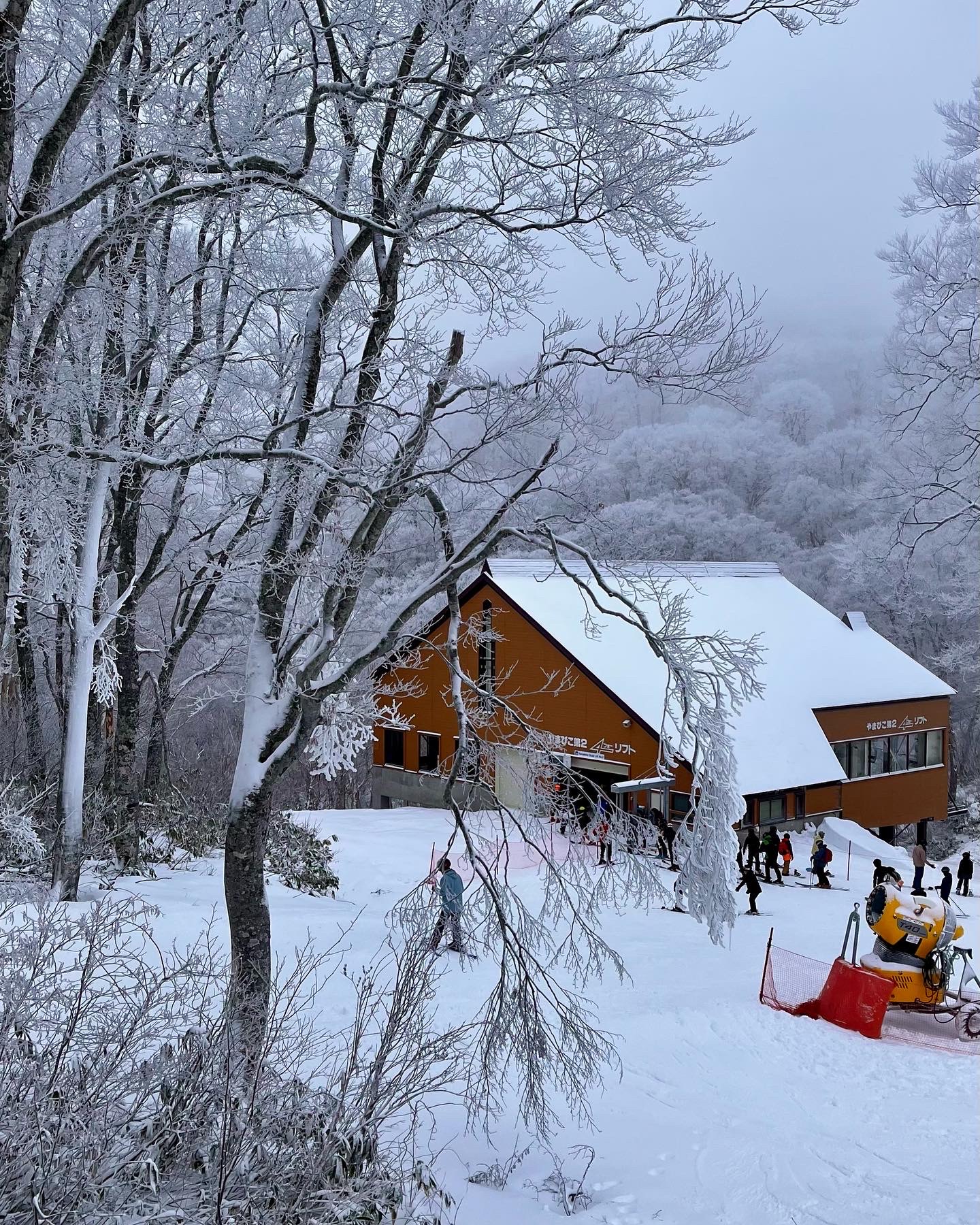 December Snow Update Nozawa Onsen