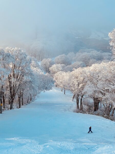 First Week Season Nozawa