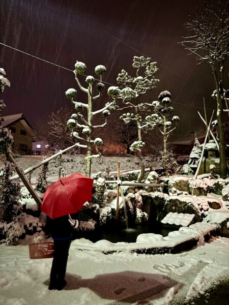 Cozy Nozawa Onsen