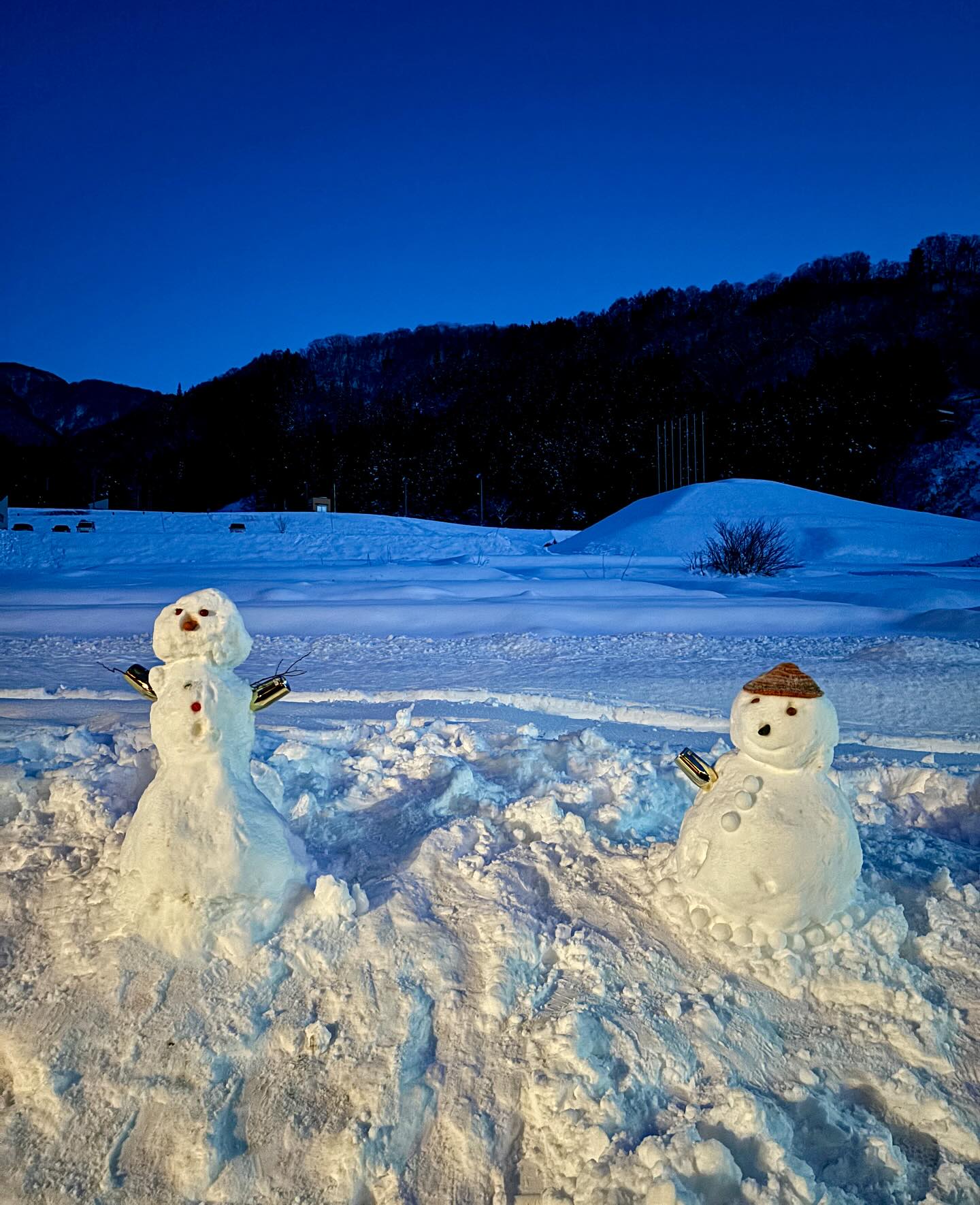 New Year Ski Japan 