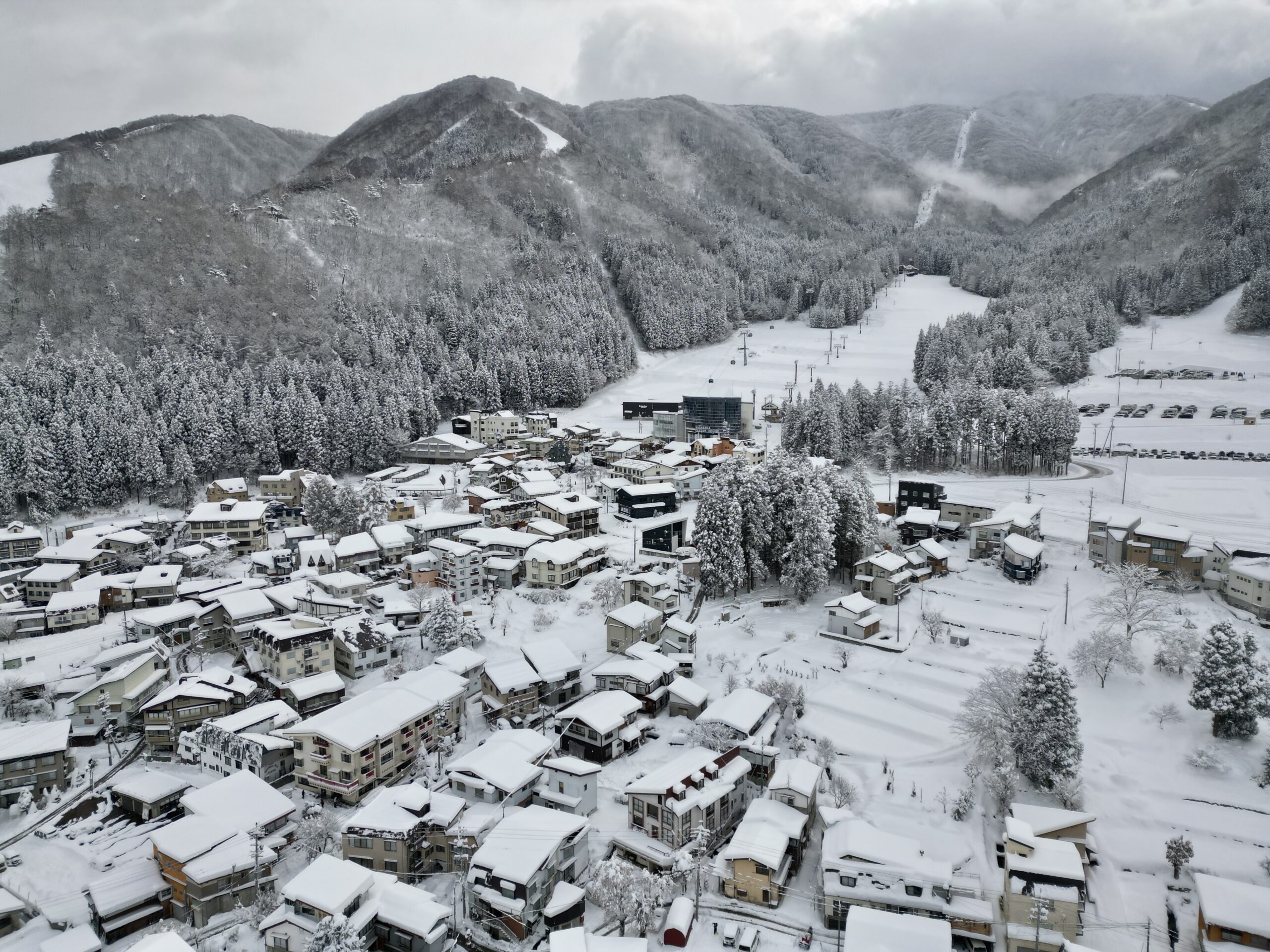 One Meter Snow Nozawa