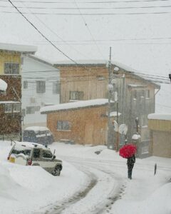 January 15th 2024 Nozawa