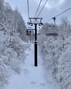 Happy New Years from Nozawa Holidays