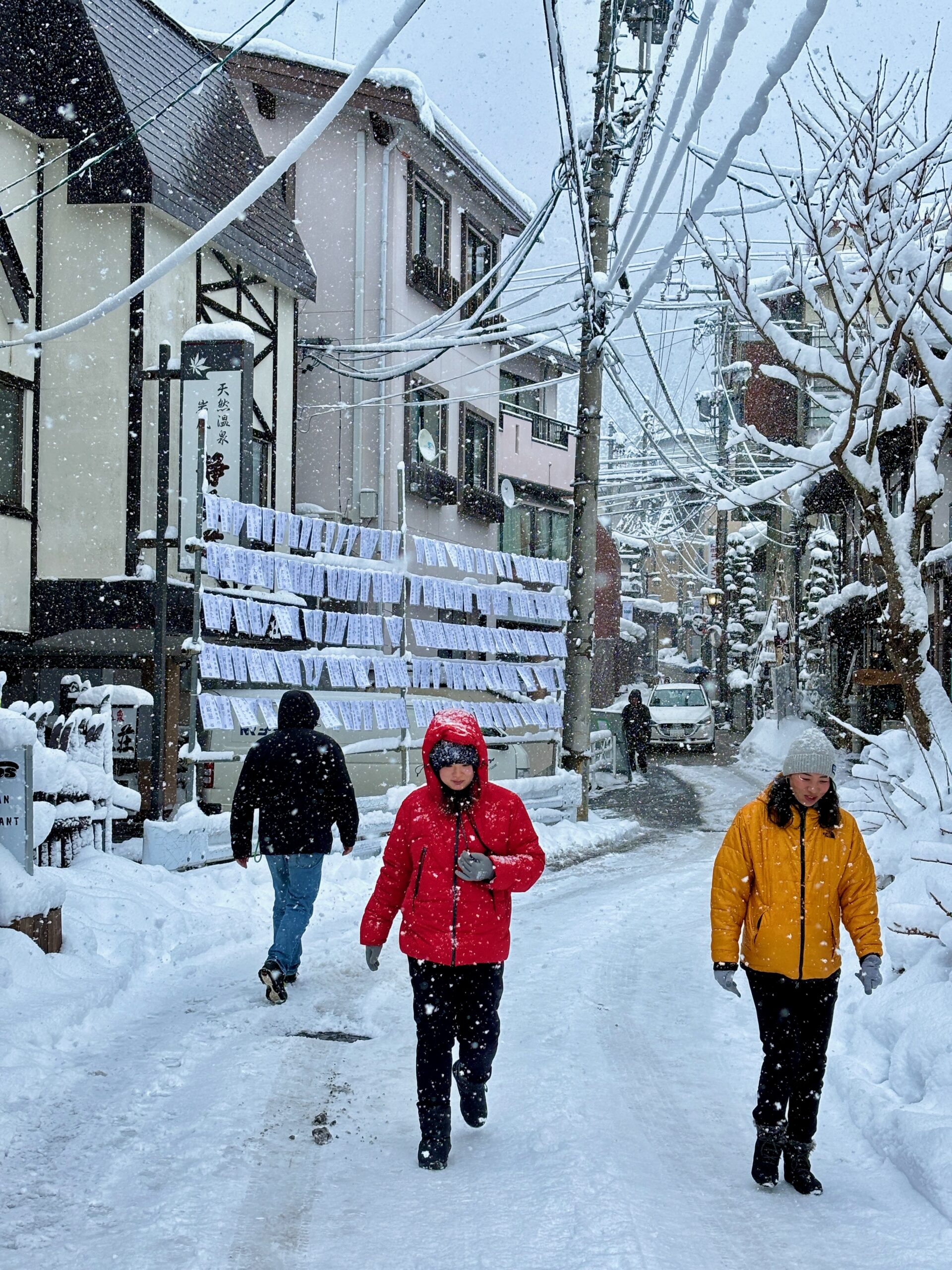 Blizzard to Bluebird Nozawa