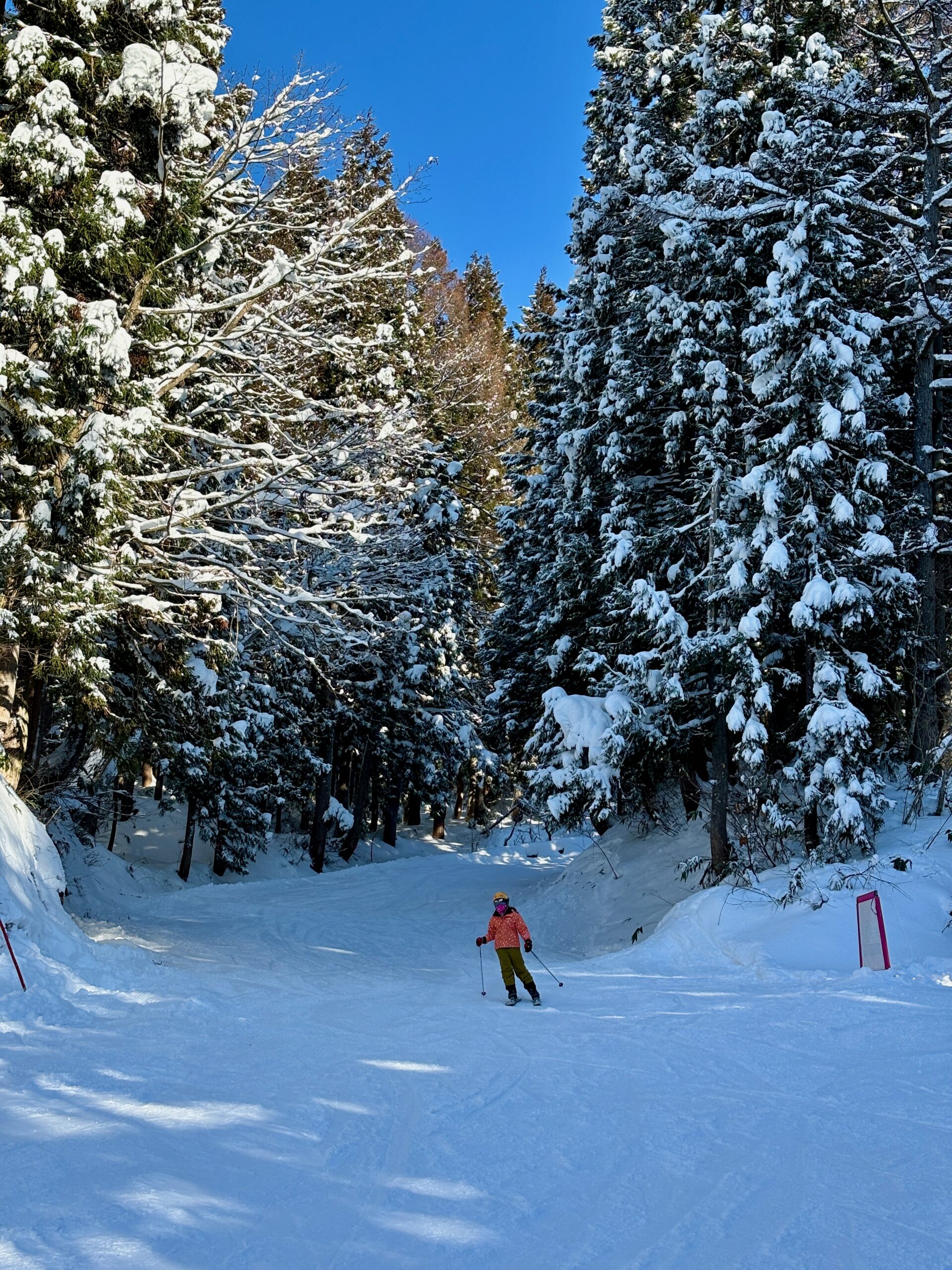 Perfect Ski Holiday Nozawa