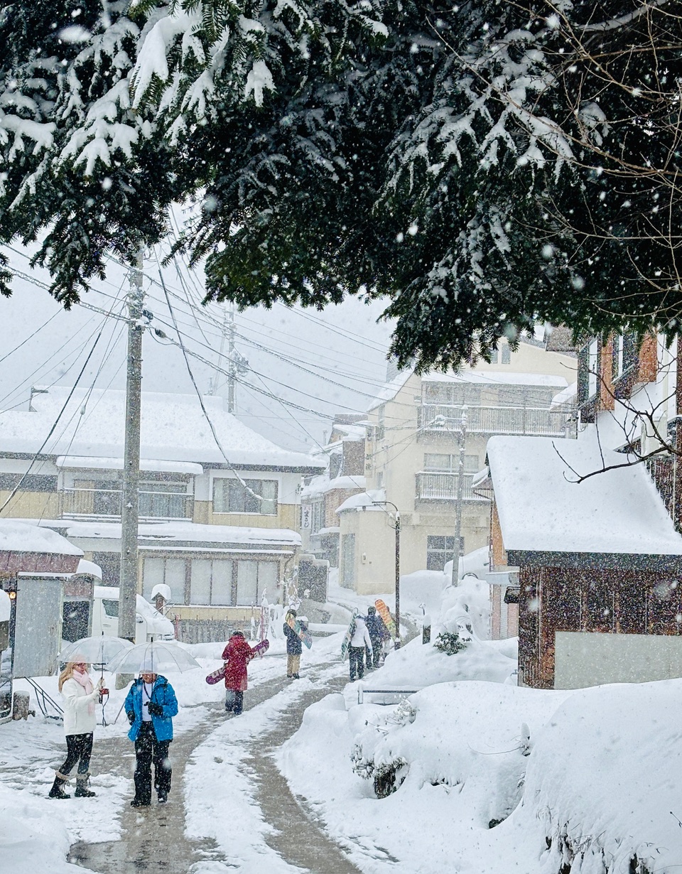 Powder Days Nozawa Onsen