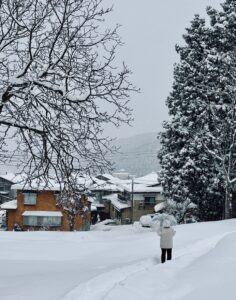 Powder Times Nozawa Onsen