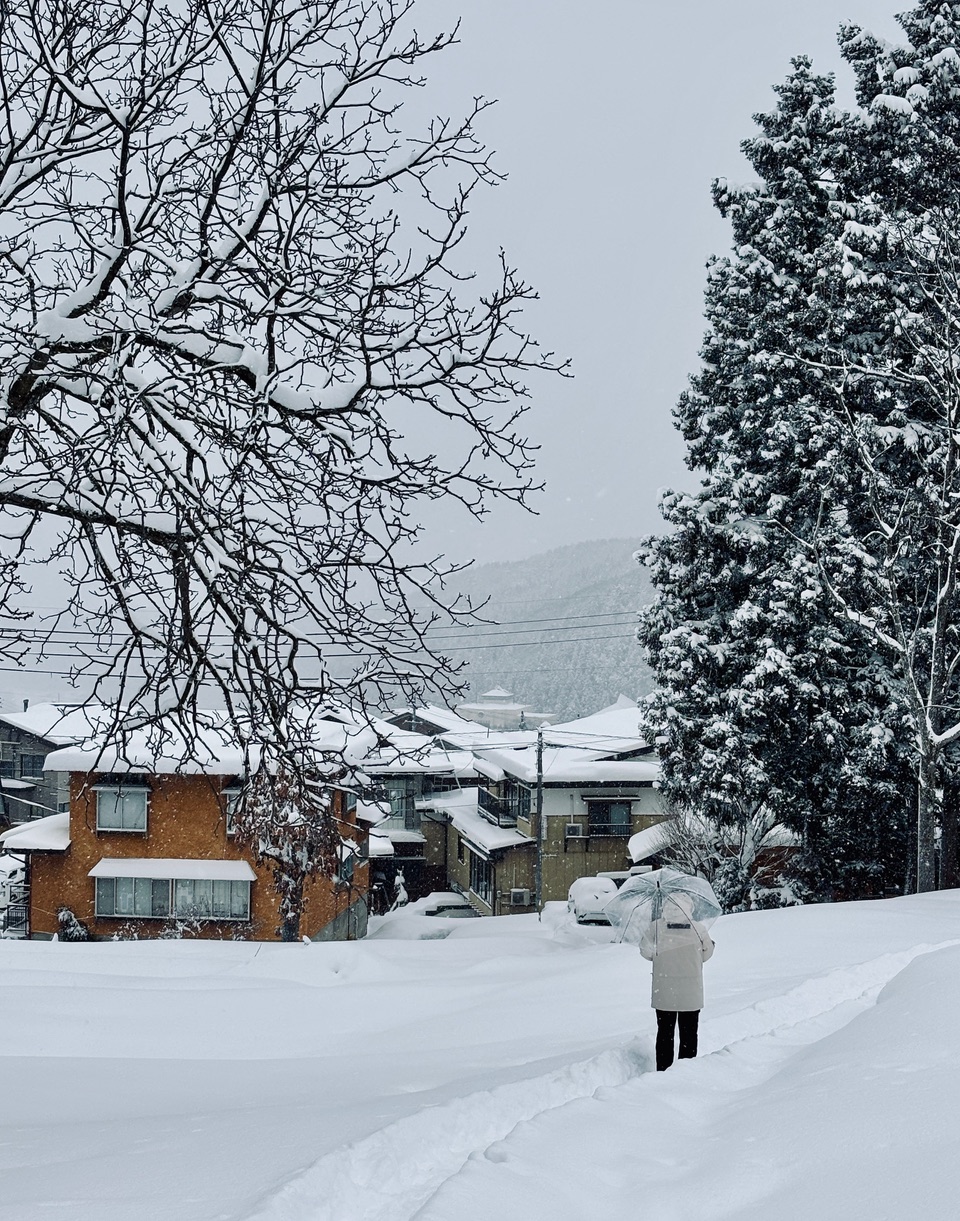 Big snow came to Nozawa 