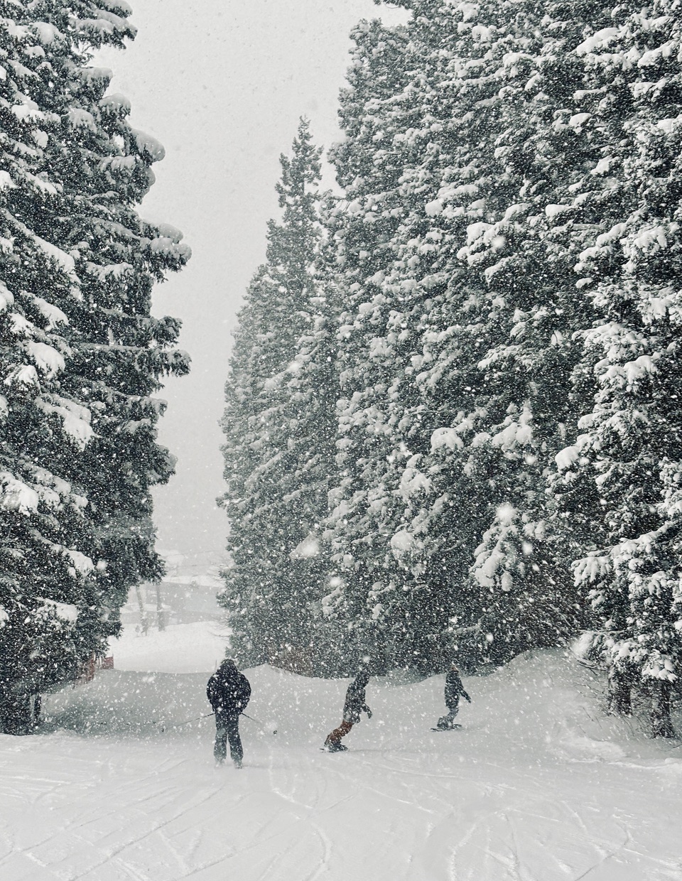 Powder Days Nozawa Onsen