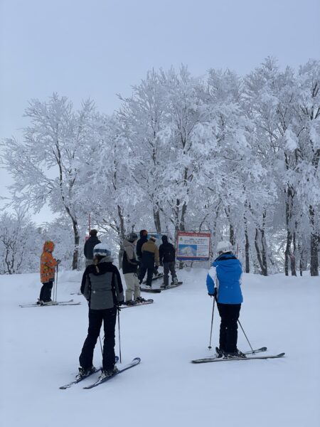 January Snowfall Nozawa Onsen