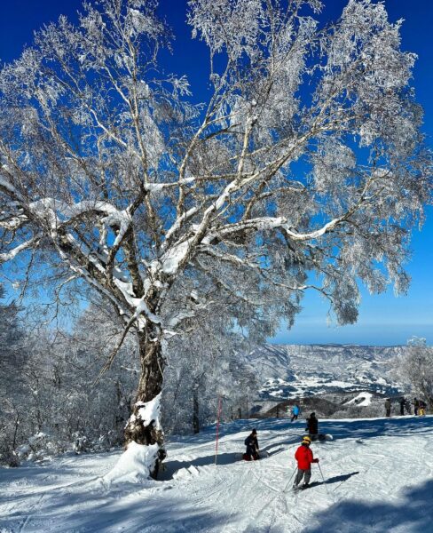 Earthquake Nozawa Onsen Japan