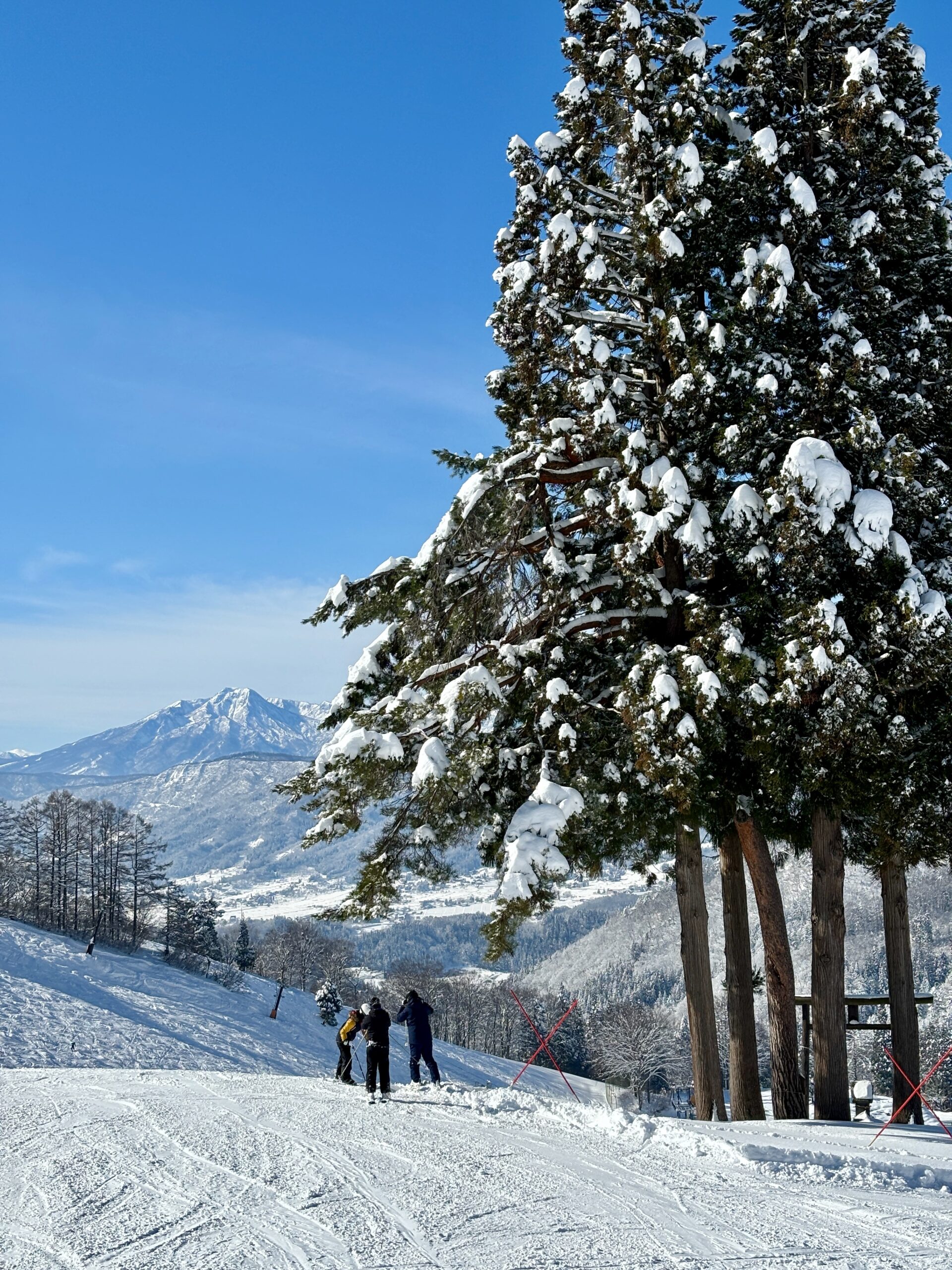 Blizzard to Bluebird Nozawa