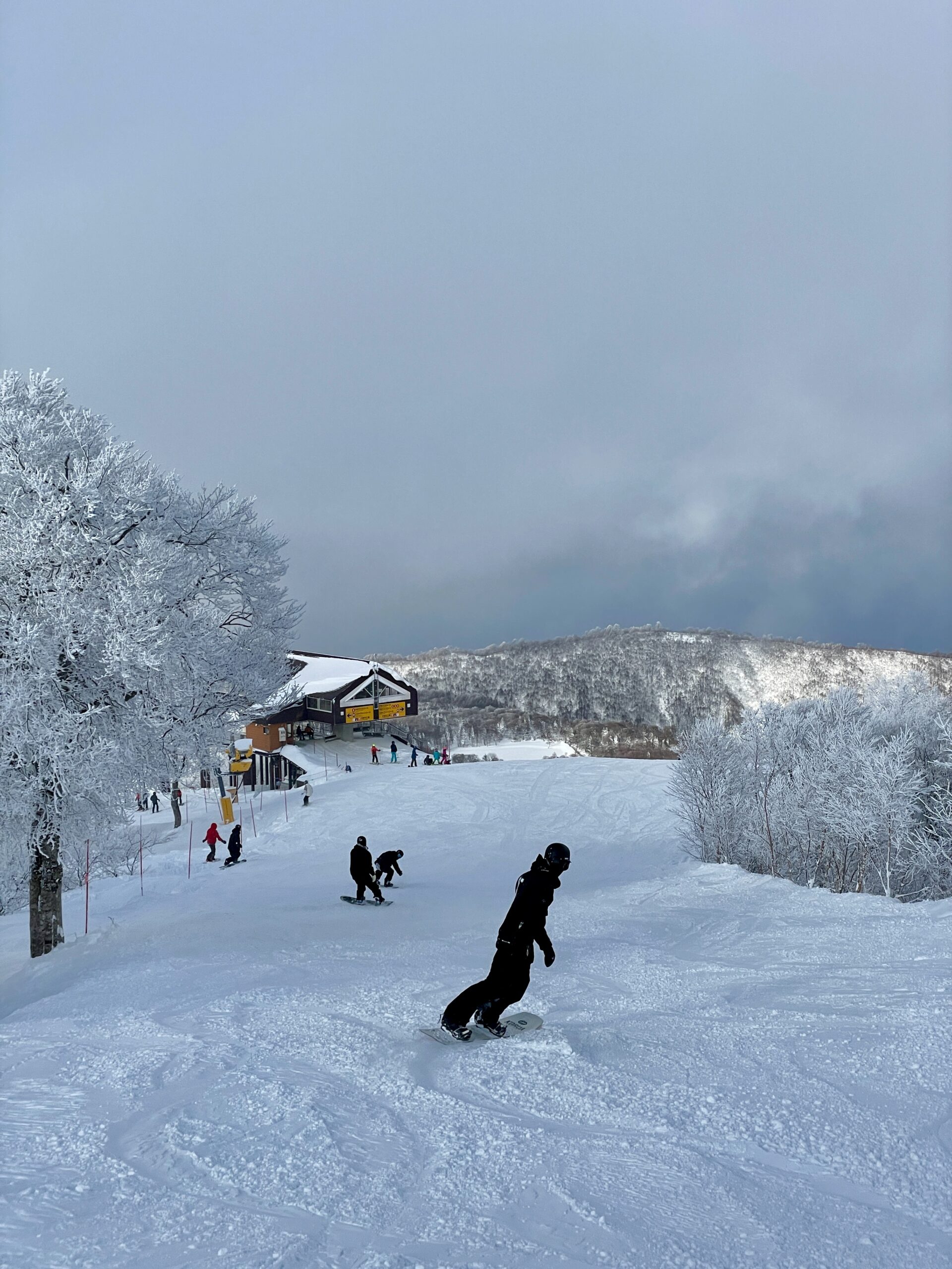 Peak Season Nozawa Japan