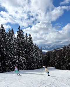 Sunny day on the slopes cruising through the tree line