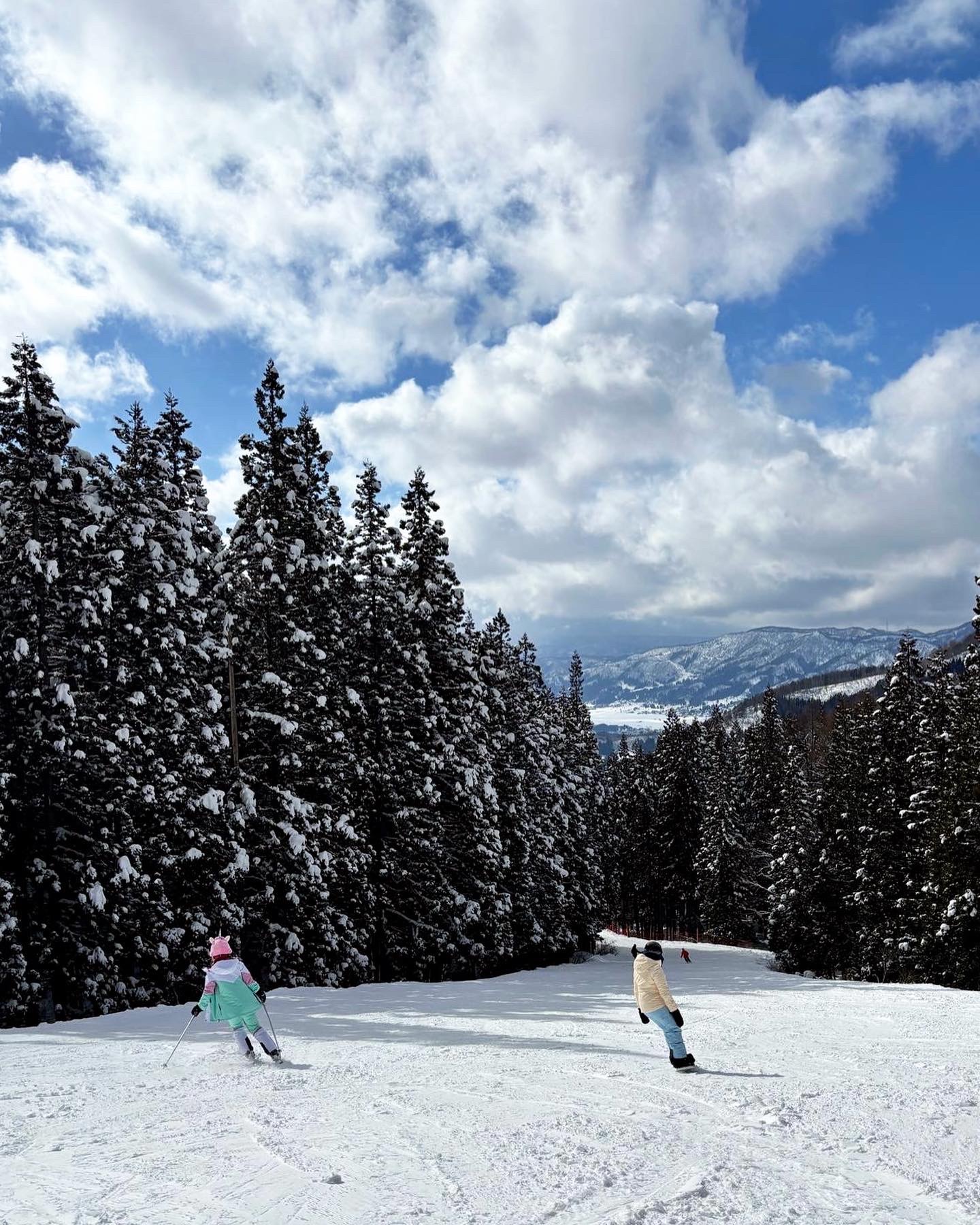 Sunny day on the slopes cruising through the tree line 