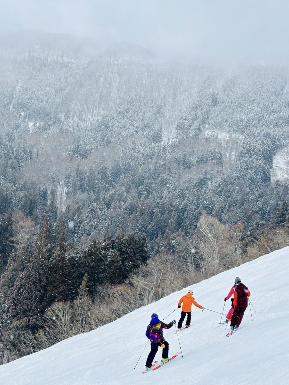 Snowy end of the weekend here in Nozawa Onsen with snowfall coming our way this week