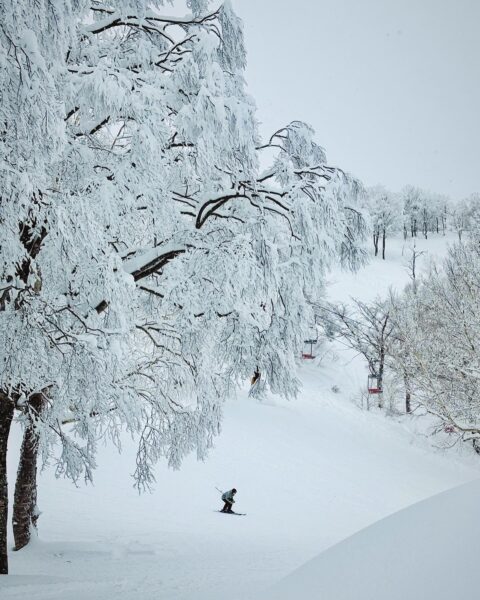 Beautiful day on the after a heavy snowfall early this week