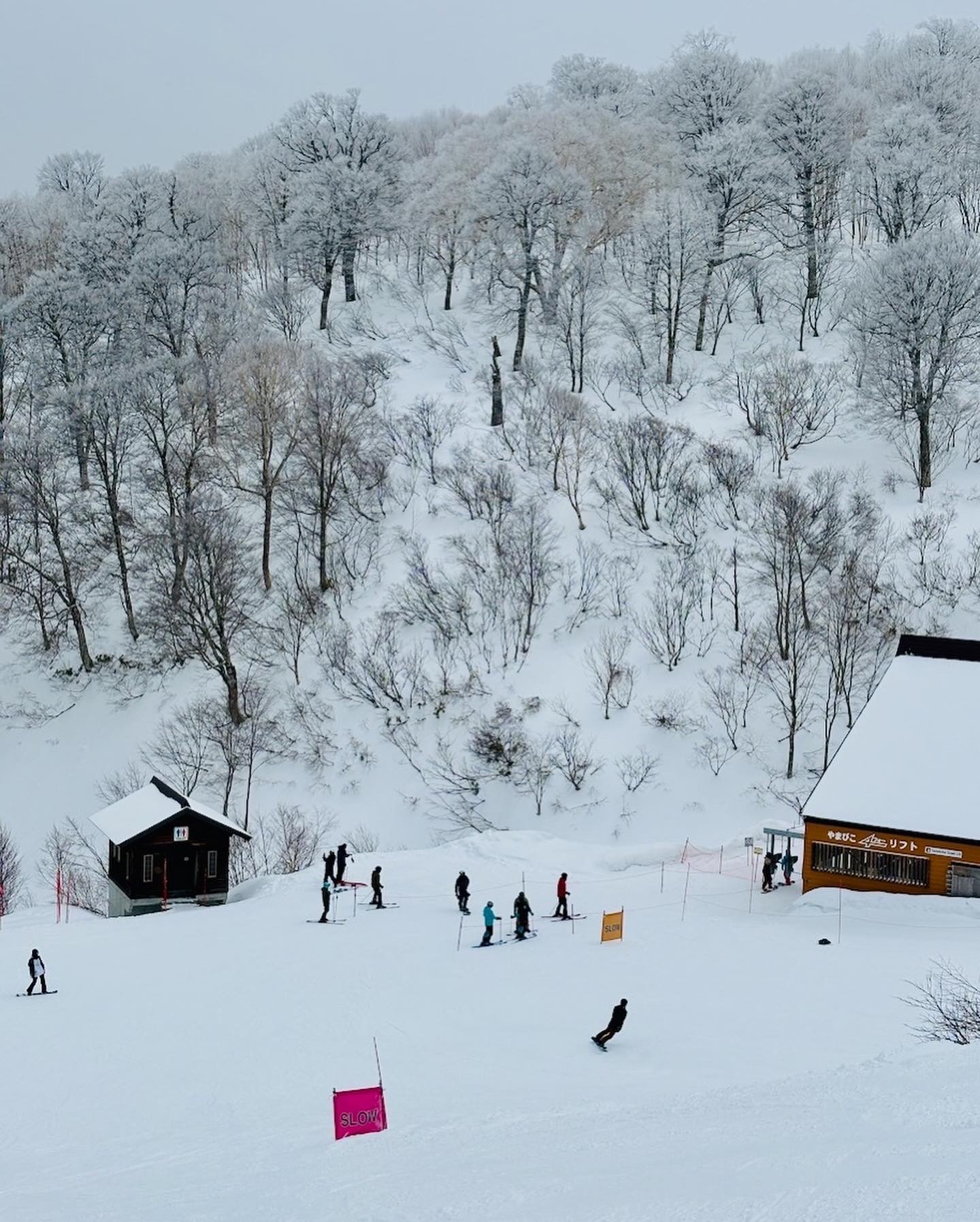Winter vibes in Nozawa Onsen Ski Resort continue 