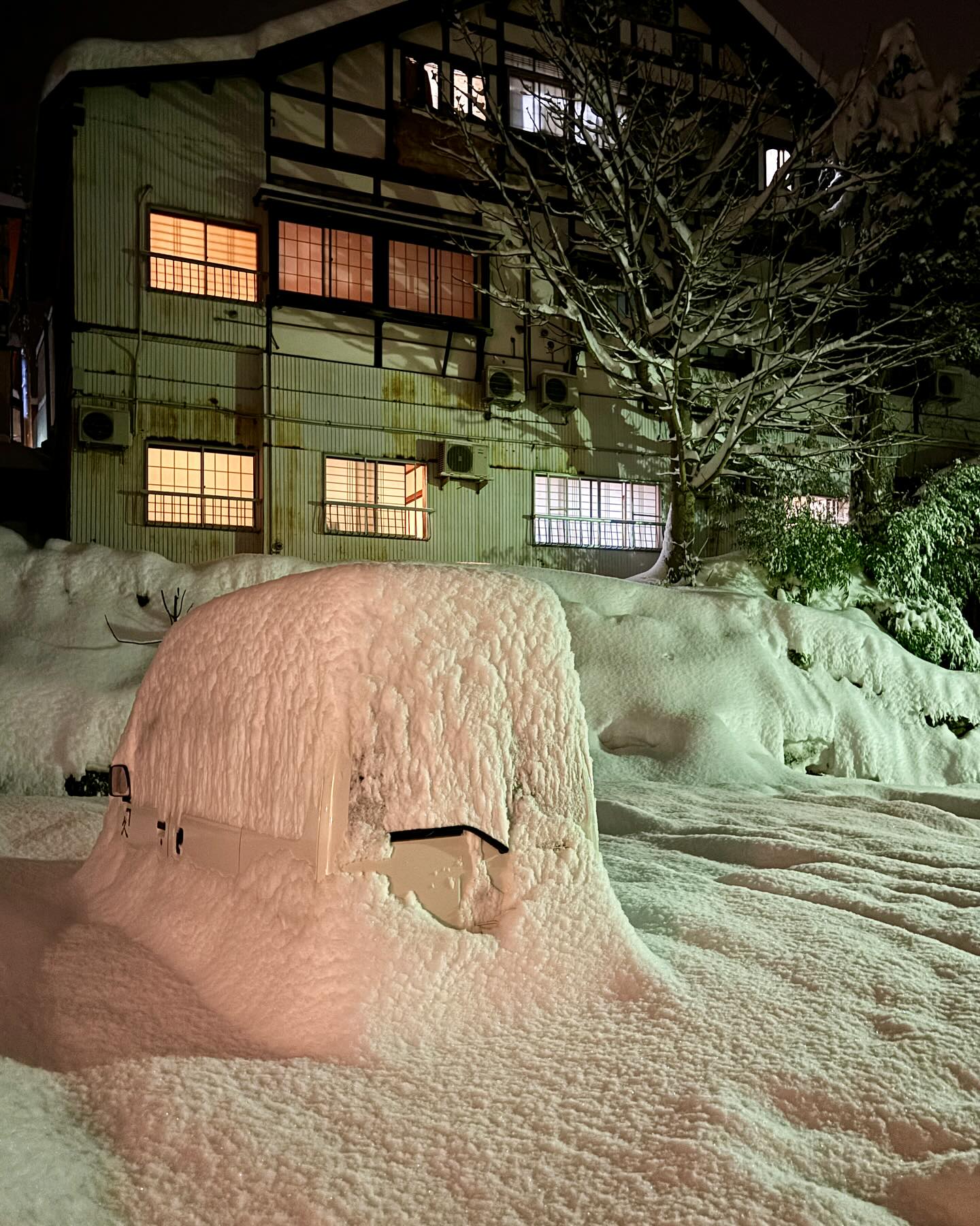 Tokyo Nozawa Snow Fall