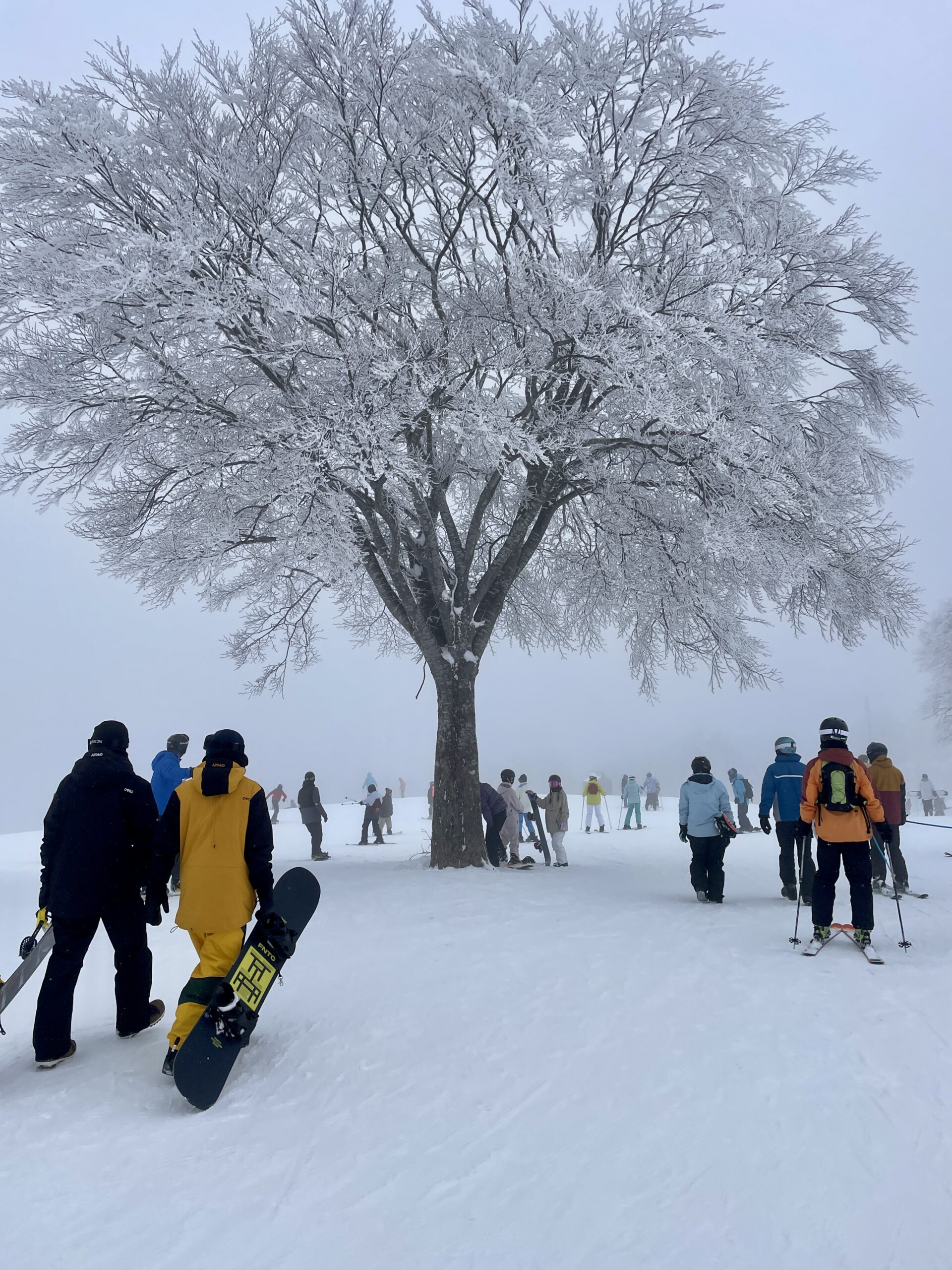 Scenic views on top of Paradise slope