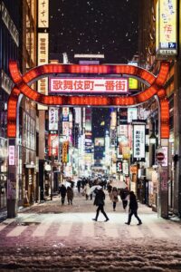 Tokyo Nozawa Snow Fall