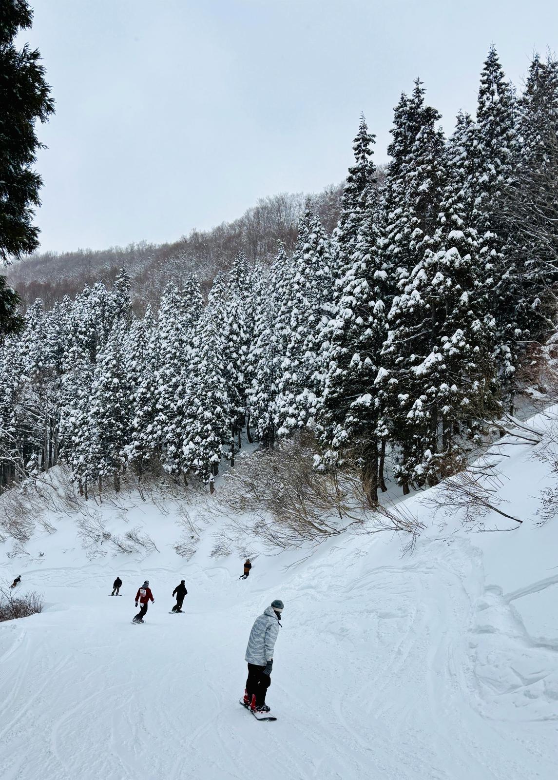 Perfect snow conditions for the end of Feb this season