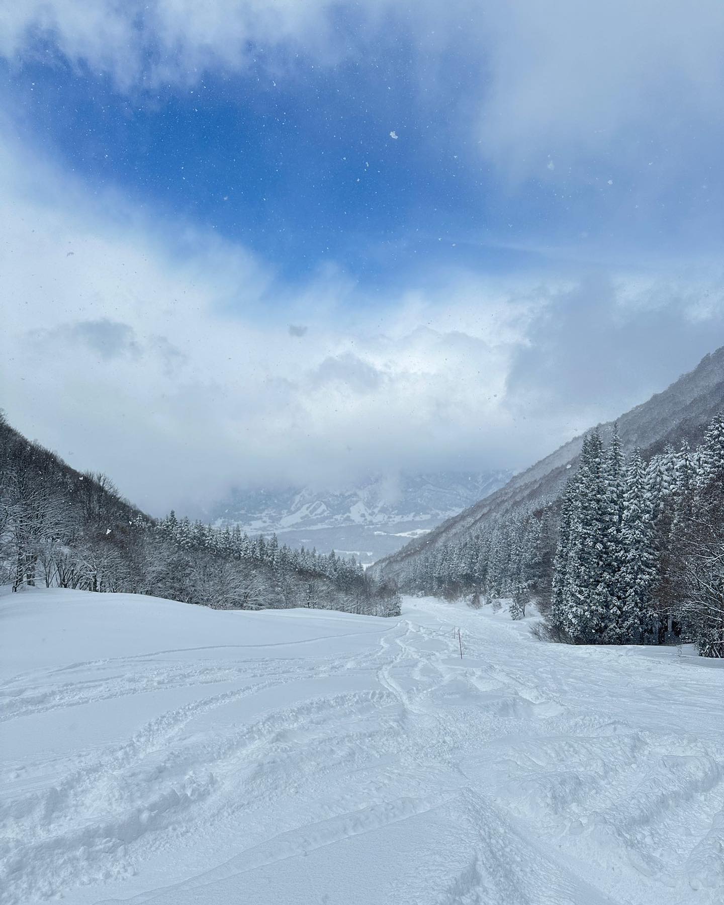 Beautiful days on Mt. Kenashi ending March 