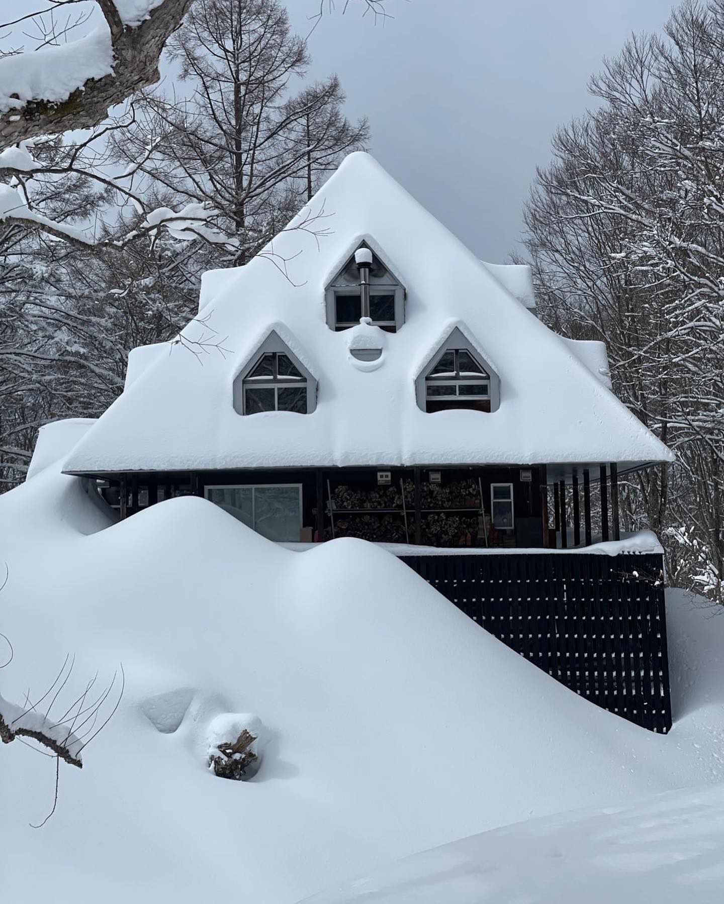 Private houses on Mt. Kenashi covered under a deep fresh pow near Paradise Slope