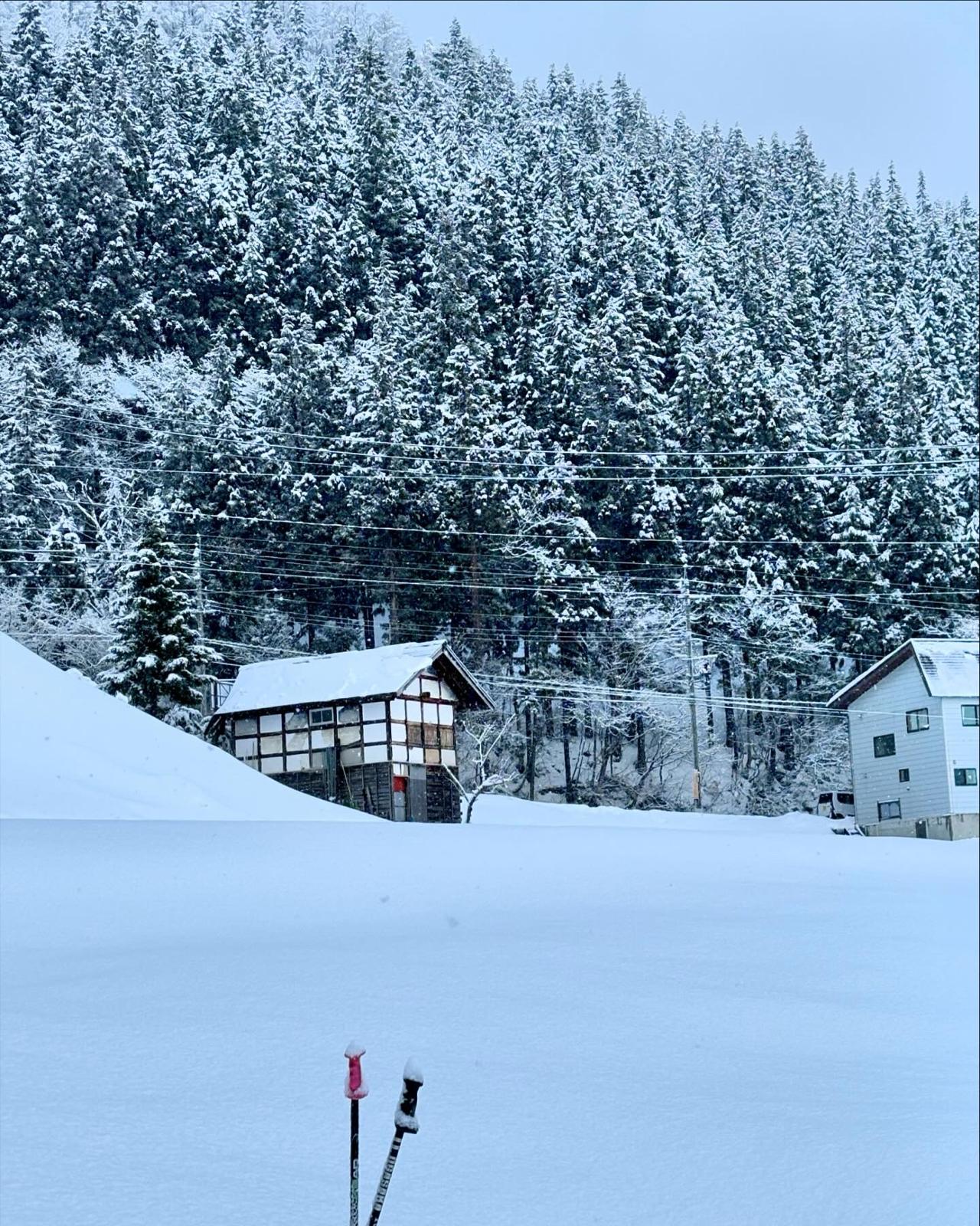 Record snow dumps in Nozawa this March 