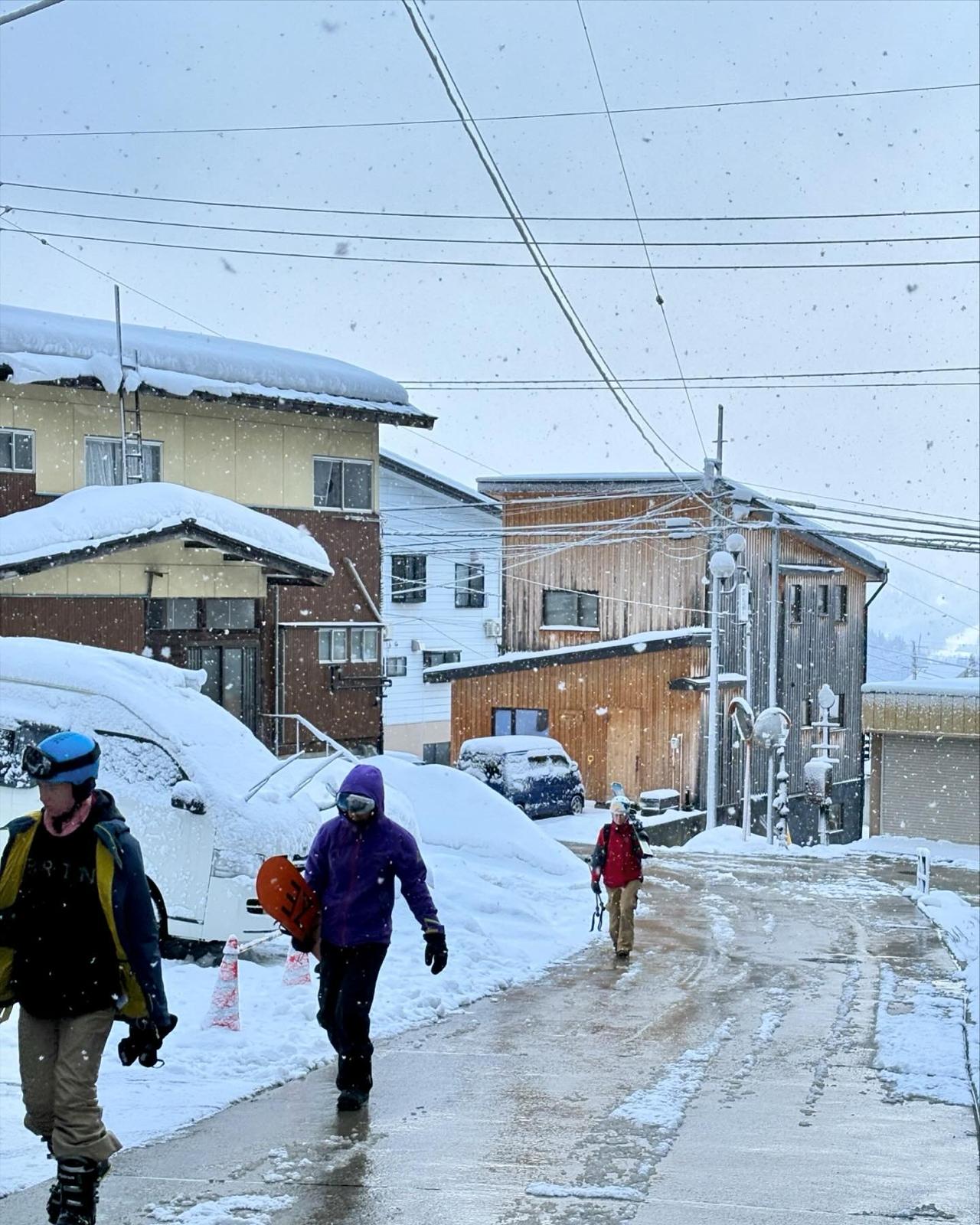 Snowy March greeted us with a lot of white 