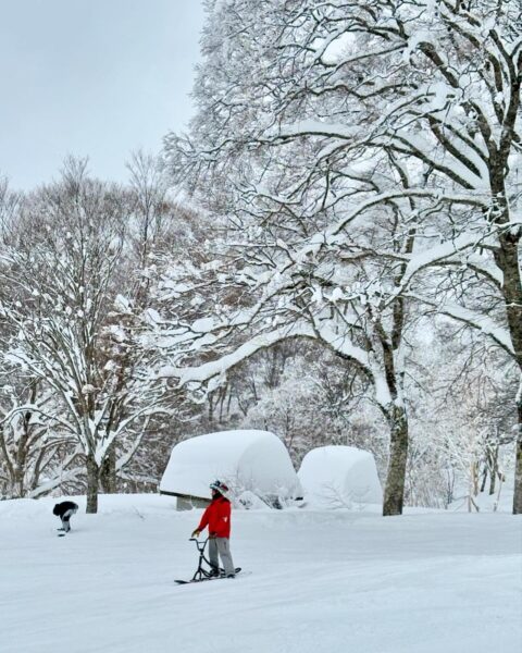 Big snow days in Nozawa Onsen