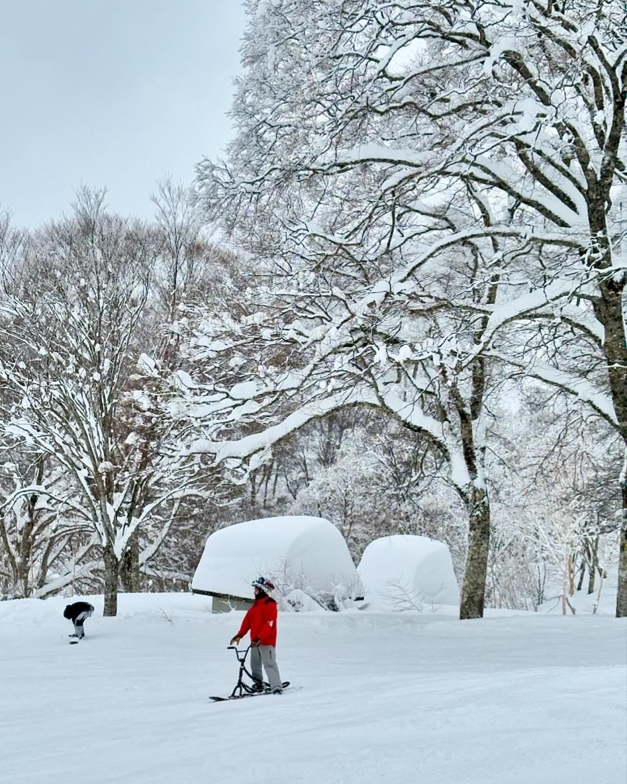 Big snow days in Nozawa Onsen 