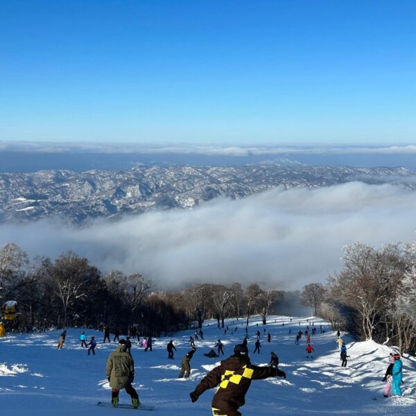 nozawa ski resort looking down