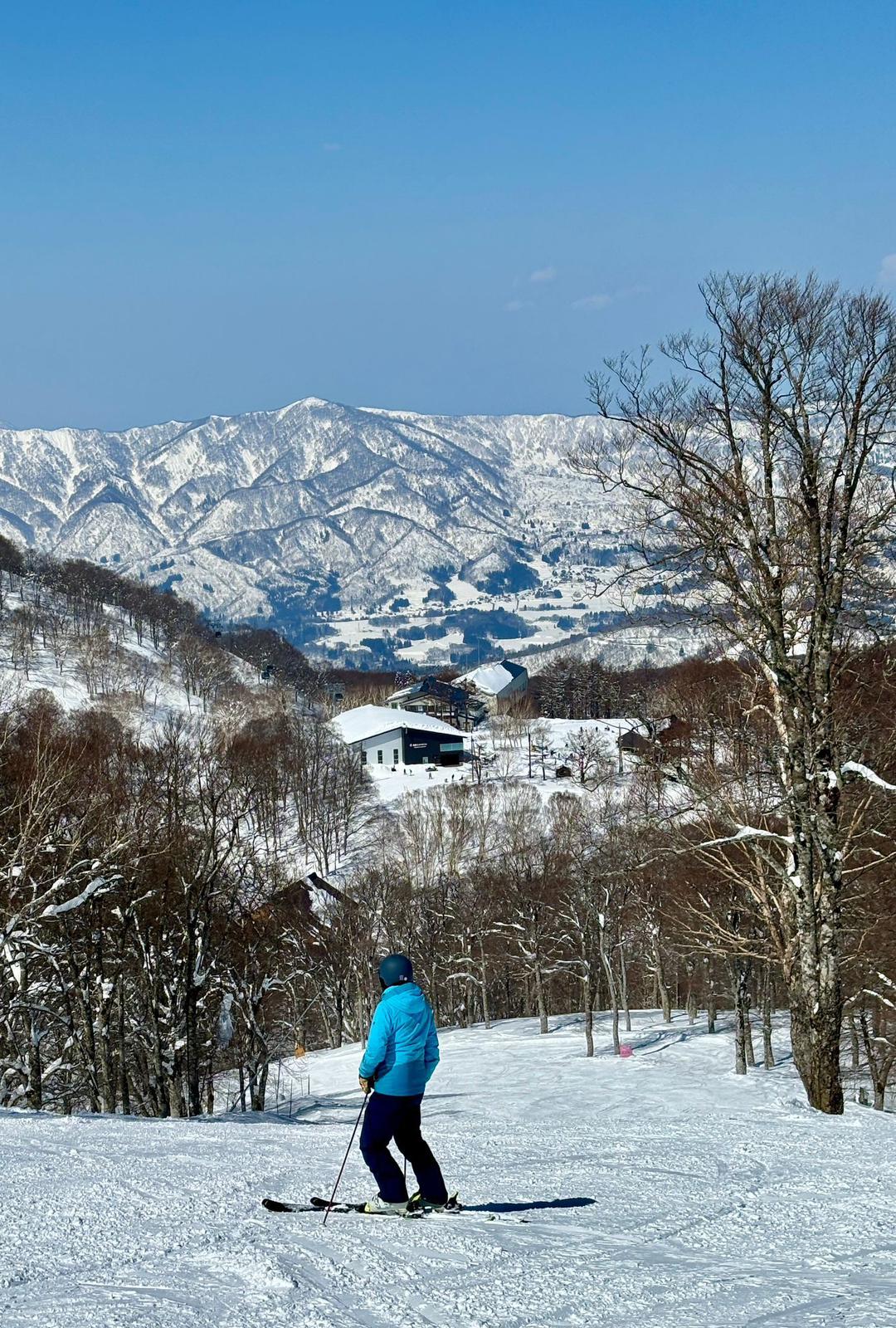 skier waiting patiently or having a rest 