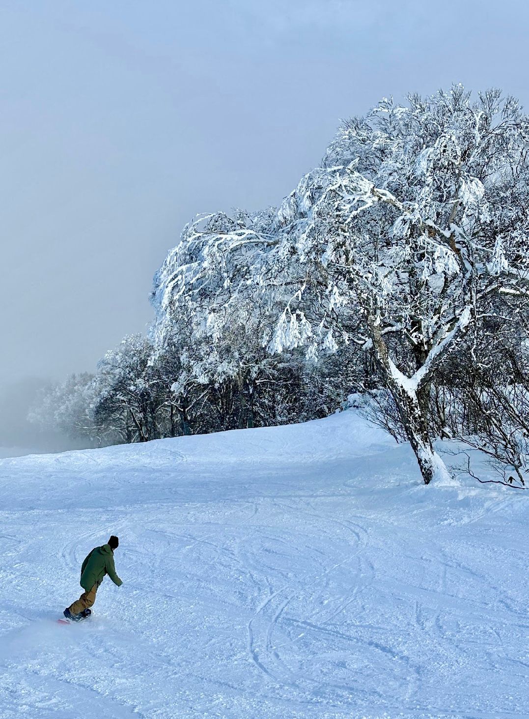 yamibiko snowboarder