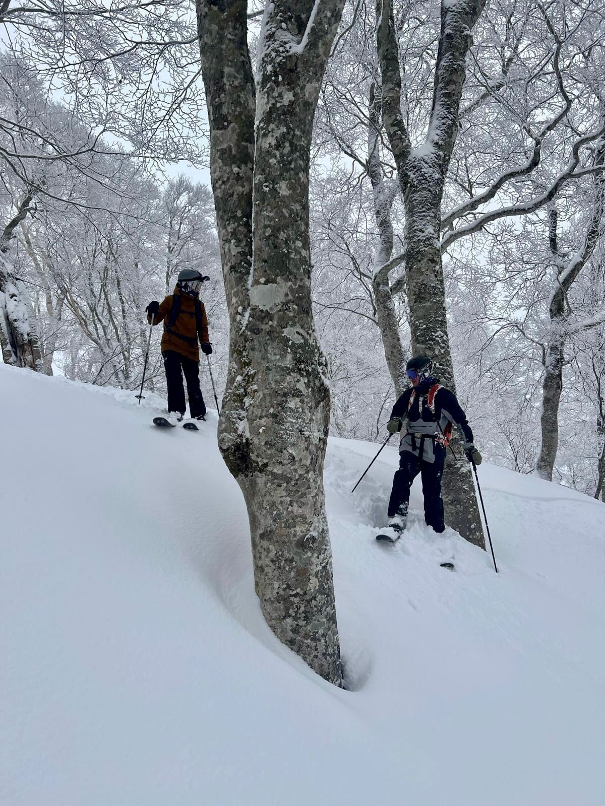 skiiers discussing their lines 